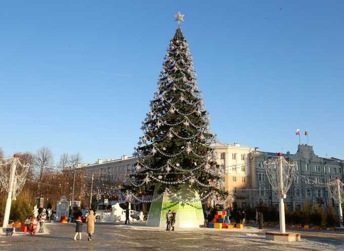 В Москве задержан вор, похитивший рождественскую елку в центре города