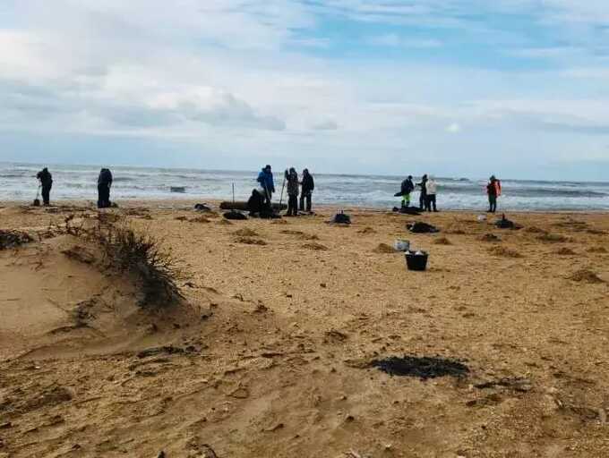 Волонтёры жалуются на ухудшение здоровья после уборки мазута в Краснодарском крае