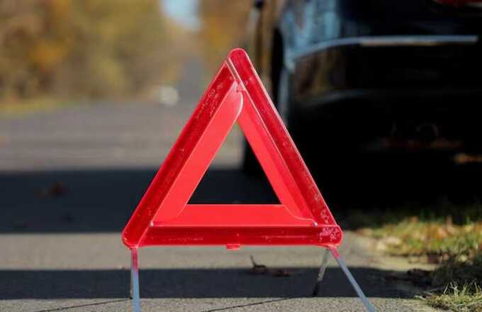 Водитель Honda в Бурятии наехал на лошадь: два человека получили травмы
