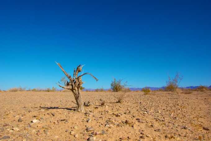 Oil-abundant Arab nations initiate aligned campaigns on social platforms to advocate for skepticism about climate change