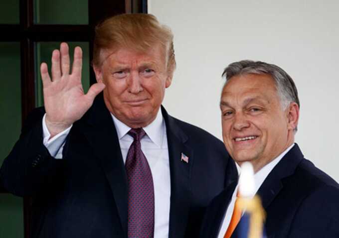 Трамп возмущён атаками Украины на нефтепровод «Дружба», при этом Венгрия подаёт жалобу в Еврокомиссию